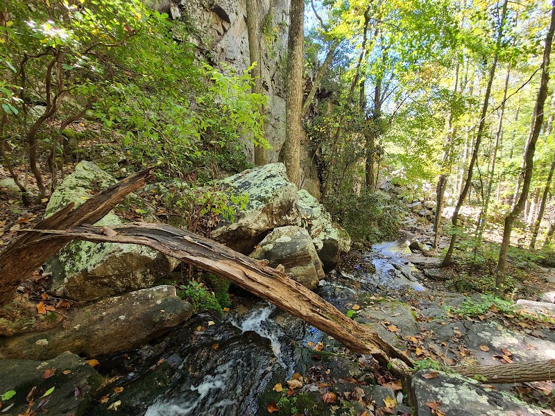 High Falls Fall: Nature's Retreat in Lineville, Alabama - High Falls Fall