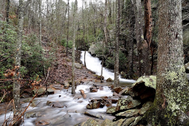 The Cascading Charm of High Falls Trail Head surrounding landscape