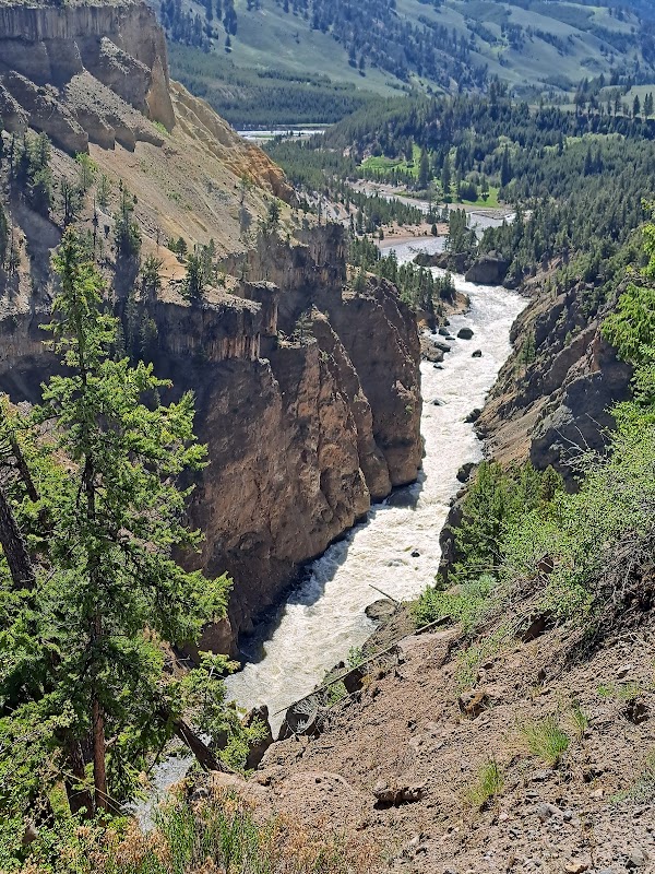 Captivating Cascades at Gibbon Falls surrounding landscape
