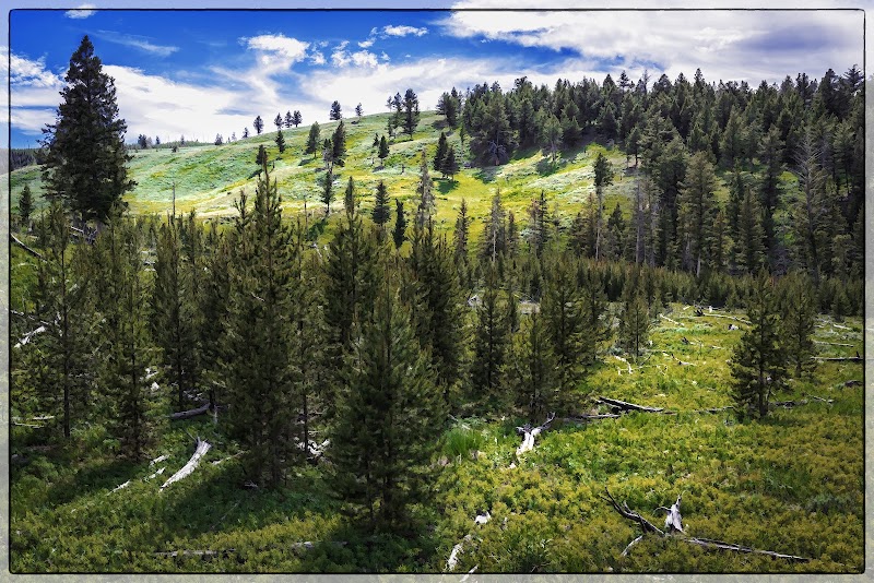 Charming Cascade: Wraith Falls in Wyoming - Wraith Falls