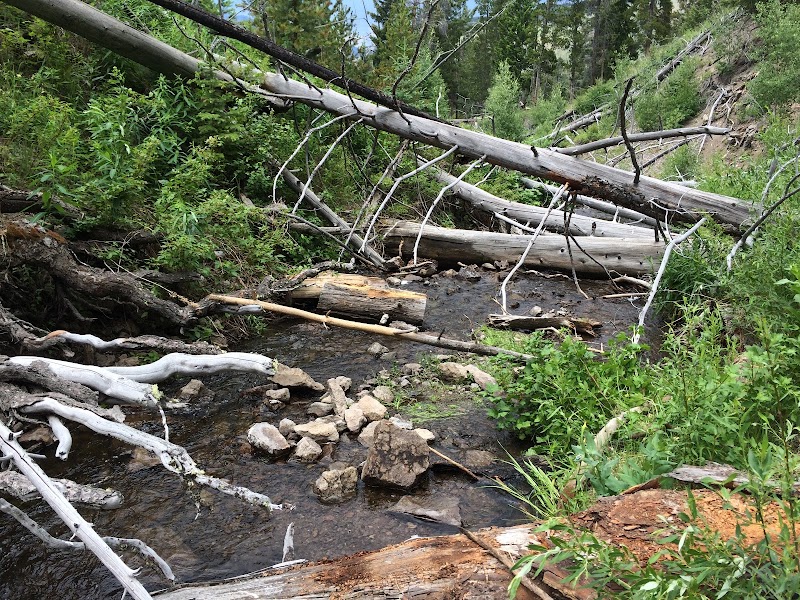 Charming Cascade: Wraith Falls in Wyoming surrounding landscape