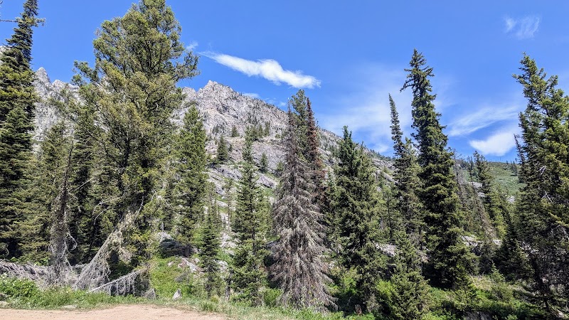Discover the Wonders of Hidden Falls Trail outdoor detail