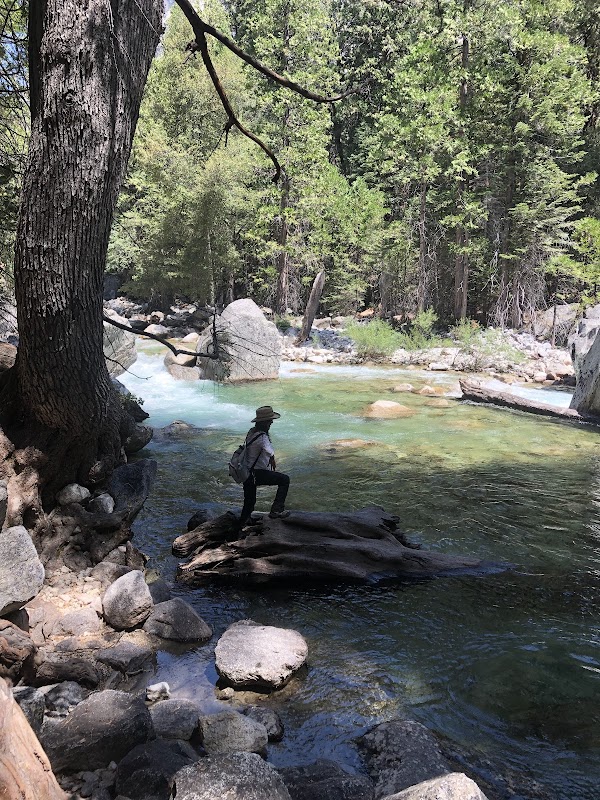 Mist Falls: A Cascading Wonder in California's Wilderness surrounding landscape