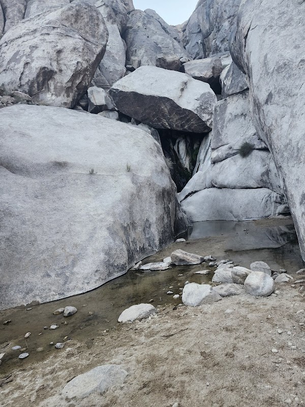 Natural Wonders of Great Falls Basin - Great Falls Basin