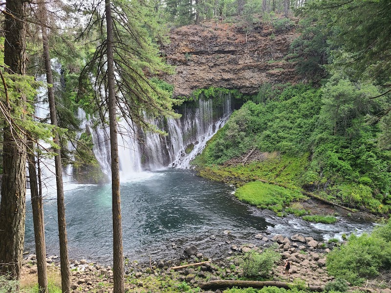 Wonders of Burney Falls surrounding landscape