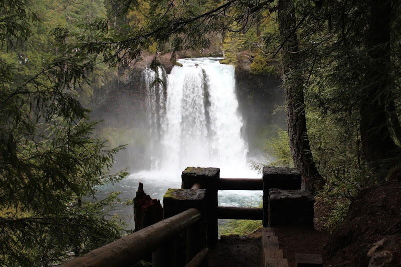 Majestic Waterfall at Koosah Falls - Koosah Falls