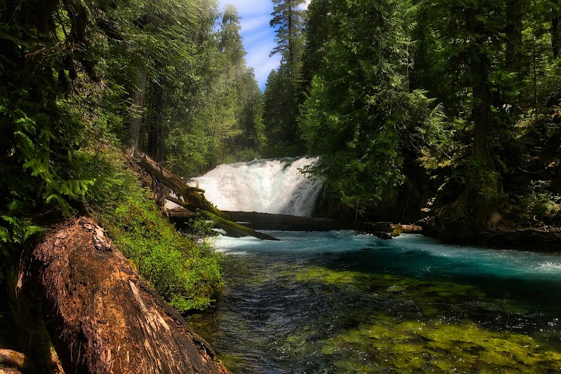Majestic Waterfall at Koosah Falls surrounding landscape