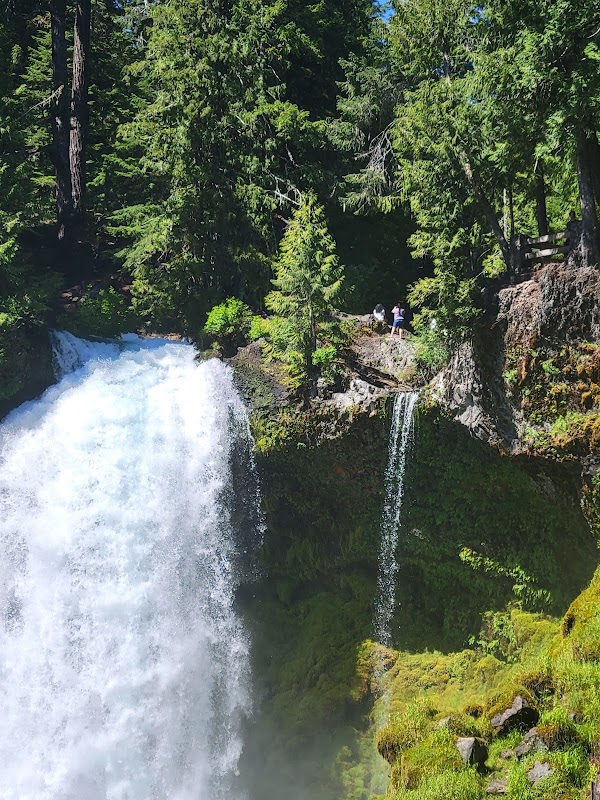 Majestic Waterfall at Koosah Falls - Koosah Falls