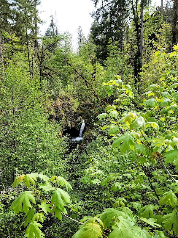 Enchanting Waters of Chichester Falls - Chichester Falls