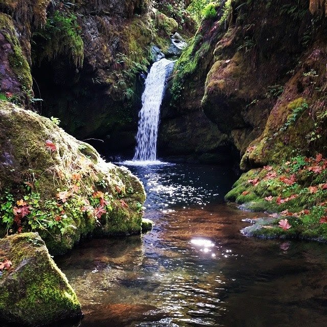 Enchanting Waters of Chichester Falls - Chichester Falls