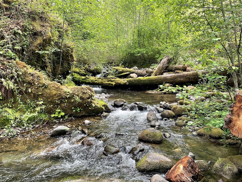 Enchanting Waters of Chichester Falls - Chichester Falls