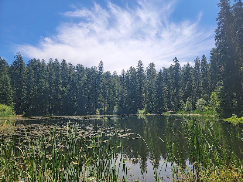 Hemlock Falls: Oregon's Cascading Gem - Hemlock Falls