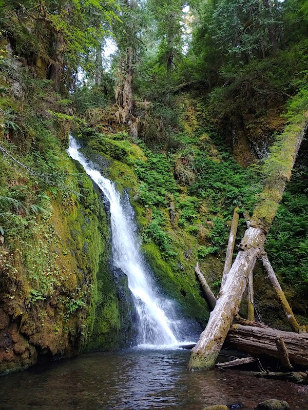 Hemlock Falls: Oregon's Cascading Gem - Hemlock Falls