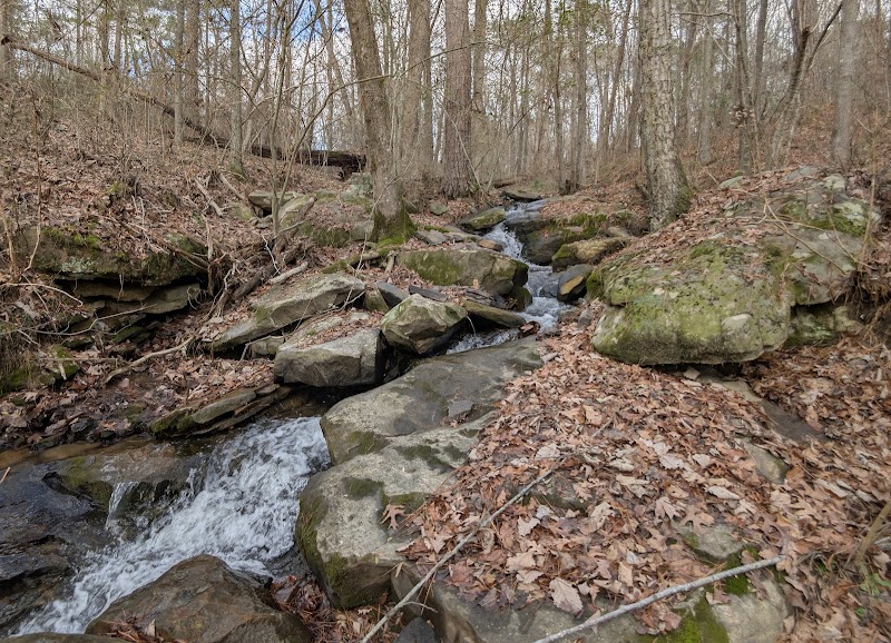 High Falls: Alabama's Cascading Beauty surrounding landscape