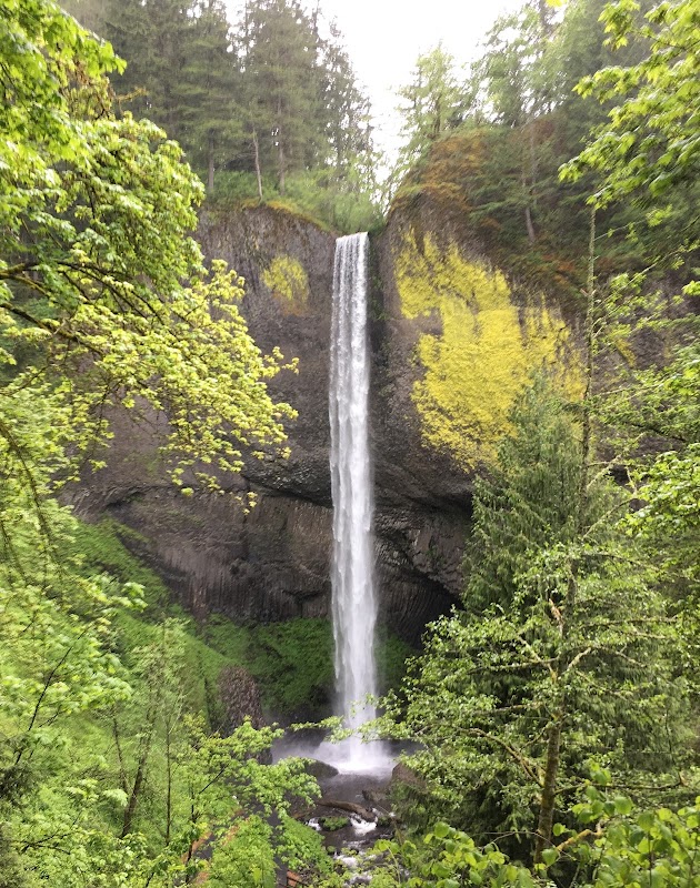 Waterfall Wonder: Latourell Falls - Latourell Falls