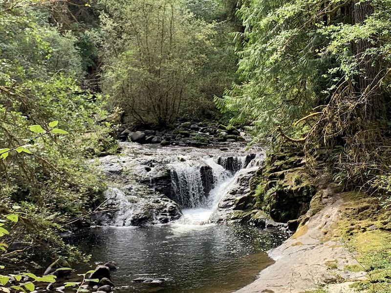 Waterfall Wonder: Sweet Creek Falls, Oregon surrounding landscape