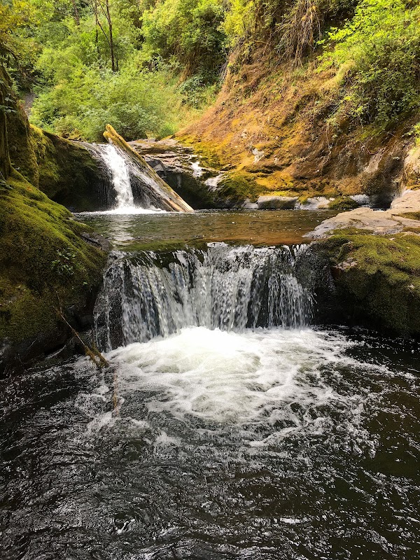 Waterfall Wonder: Sweet Creek Falls, Oregon outdoor detail