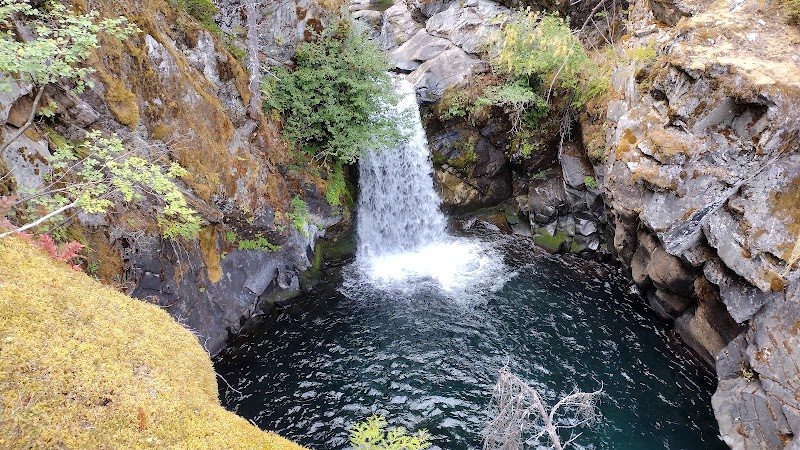 Waterfall Wonders at Hamma Hamma Falls surrounding landscape
