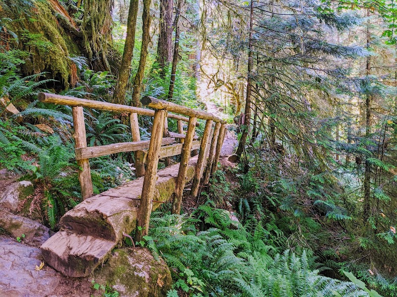 Waterfall Wonder: Boulder Falls, Washington - Boulder Falls