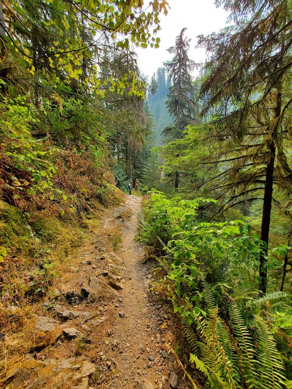 Waterfall Wonder: Boulder Falls, Washington surrounding landscape