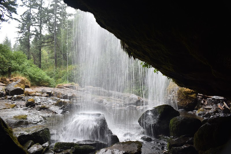 Discover Little Mashel River Waterfalls: A Natural Gem in Washington surrounding landscape