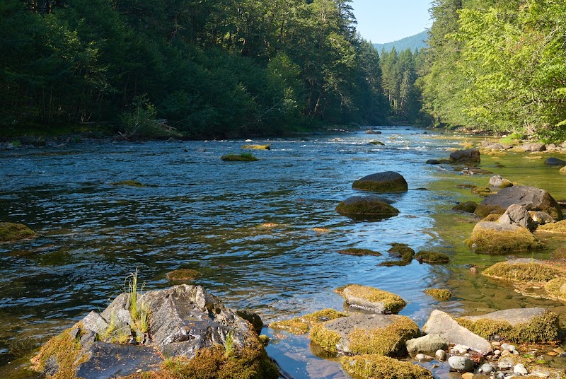 Waterfall Wonders: Lower Lewis River Falls surrounding landscape