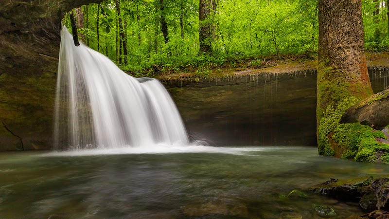 Waterfall Wonder: Short Grotto Falls, Arkansas surrounding landscape