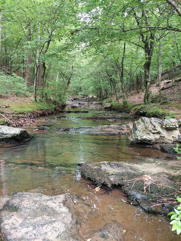 Waterfall Wonders: Falls Creek Falls in Hot Springs, Arkansas surrounding landscape
