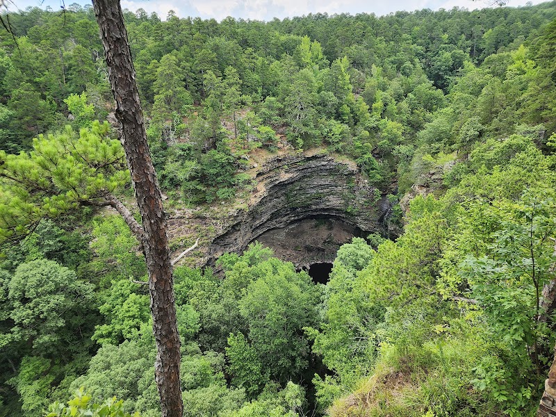Cedar Falls Overlook: A Natural Gem of Morrilton surrounding landscape