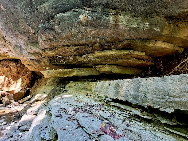 Tanyard Creek Nature Trail: Bella Vista's Hidden Gem surrounding landscape