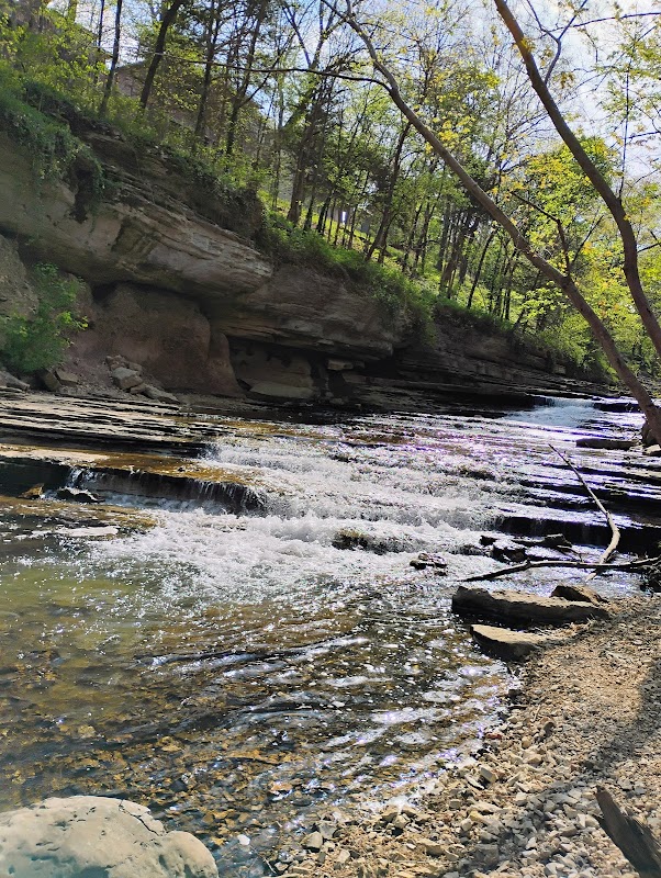 Tanyard Creek Nature Trail: Bella Vista's Hidden Gem - Tanyard Creek Nature Trail
