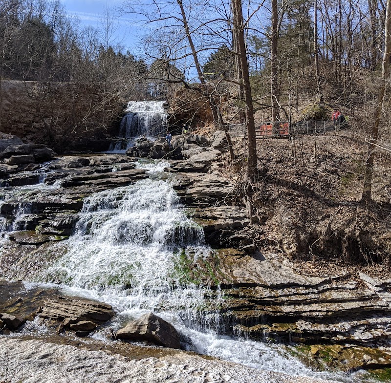 Tanyard Creek Nature Trail: Bella Vista's Hidden Gem - Tanyard Creek Nature Trail