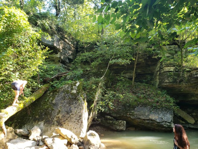 Waterfall Wonders at Paige Falls - Paige Falls / Broadwater Hollow