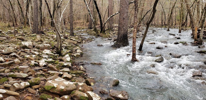 Nature's Oasis: Sausmann Falls, Arkansas outdoor detail