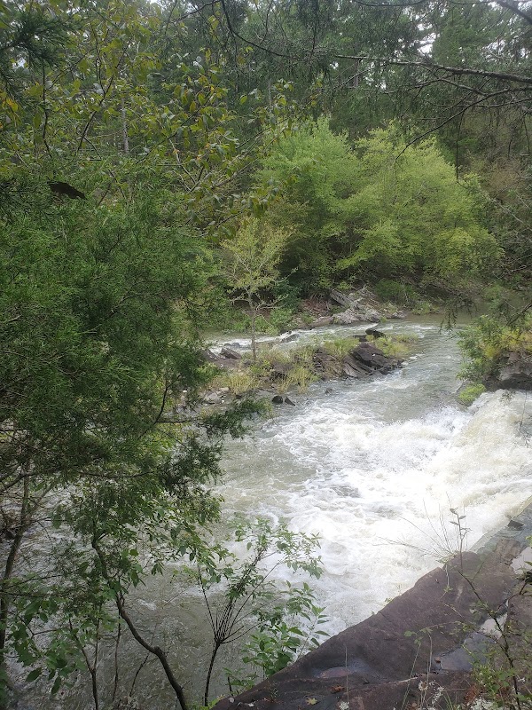 Nature's Oasis: Sausmann Falls, Arkansas - Sausmann Falls