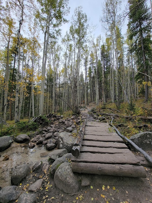 Discovering Browns Creek Falls surrounding landscape