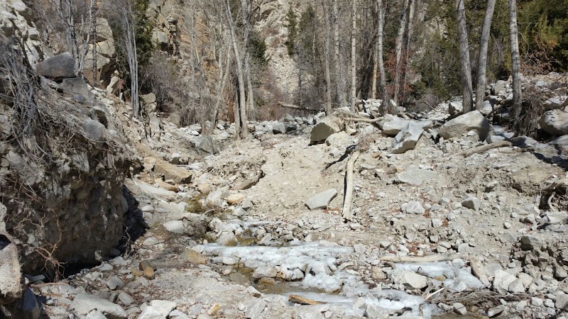 Frozen Cascade of Agnes Vail Falls surrounding landscape