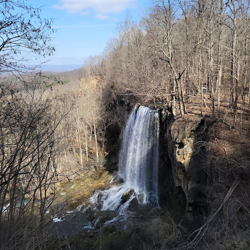 Chasing Waterfalls: Falling Spring Falls outdoor detail