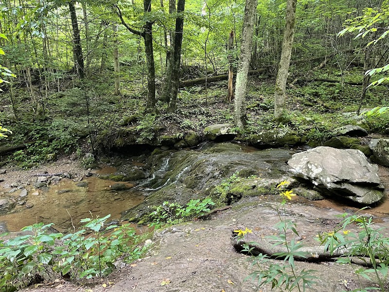 Captivating Waterfall: Dark Hollow Falls, Shenandoah surrounding landscape