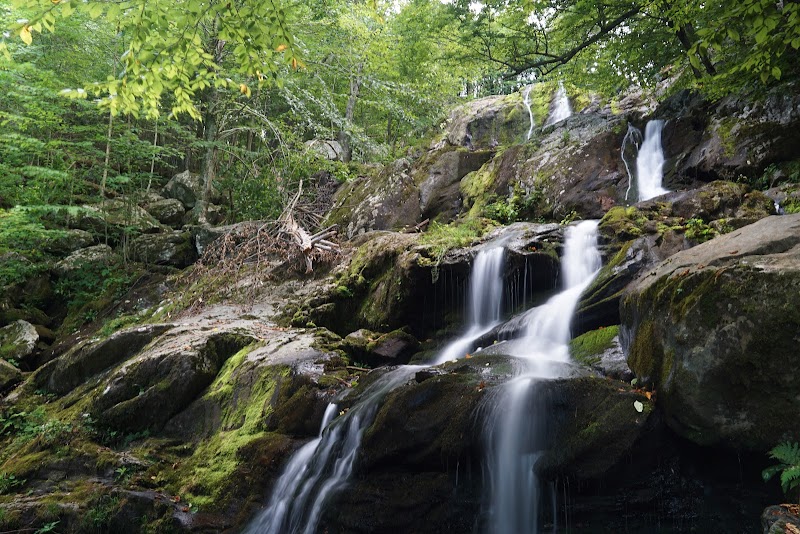 Captivating Waterfall: Dark Hollow Falls, Shenandoah - Dark Hollow Falls, Shenandoah National Park