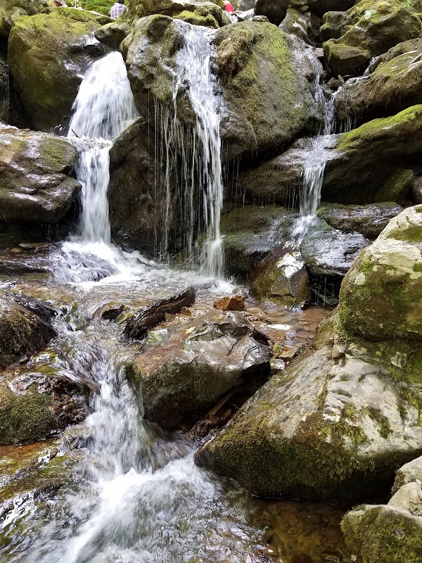 Captivating Waterfall: Dark Hollow Falls, Shenandoah - Dark Hollow Falls, Shenandoah National Park