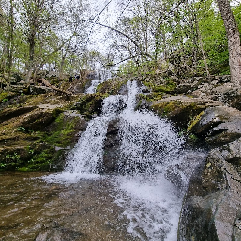 Captivating Waterfall: Dark Hollow Falls, Shenandoah - Dark Hollow Falls, Shenandoah National Park