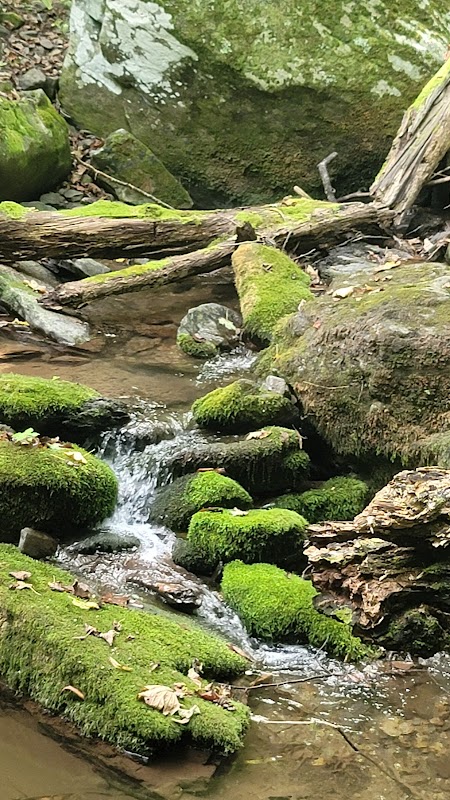 Waterfall Wonders at South River Falls - South River Falls