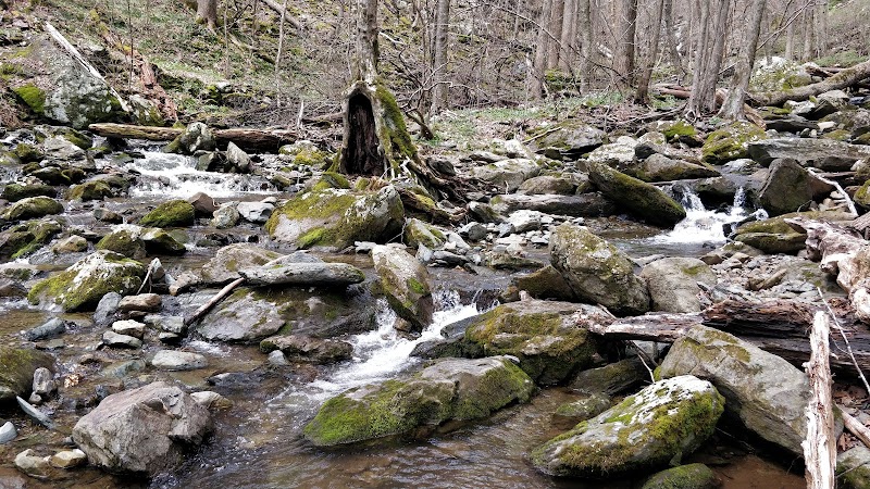 Waterfall Wonders at South River Falls - South River Falls
