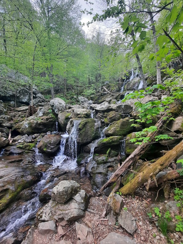 Waterfall Wonderland: Dark Hollow Falls outdoor detail