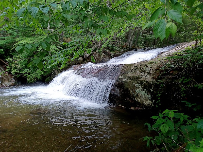 Discover Tranquility at Statons Creek Falls - Statons Creek Falls