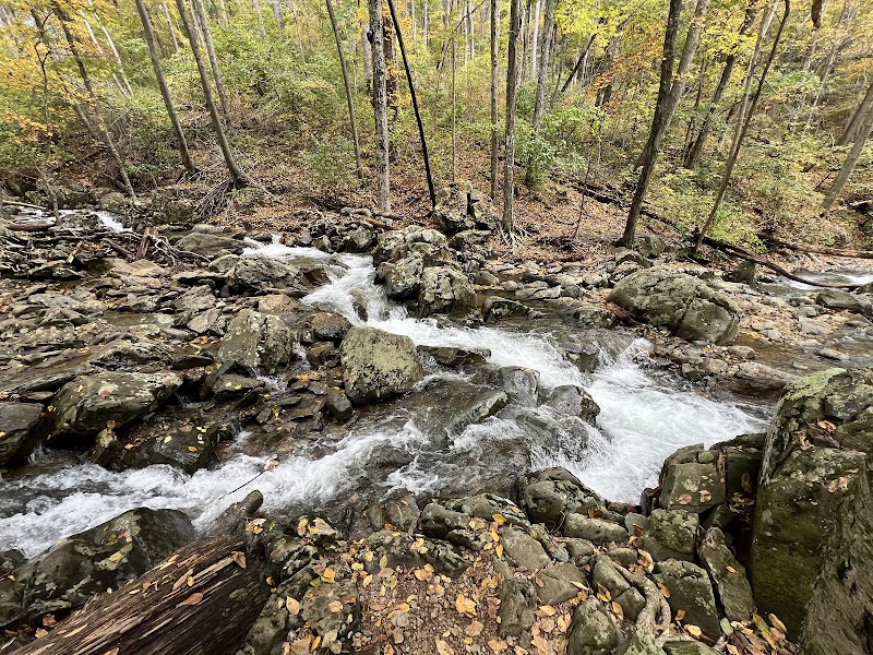 Waterfall Wonder: Rose River Falls surrounding landscape