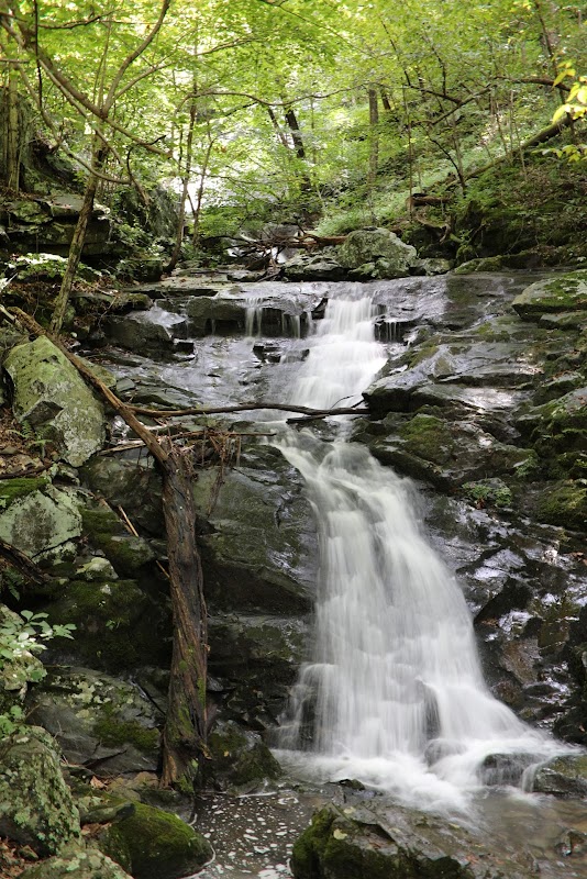 Discover the Serenity of Overall Run Falls surrounding landscape