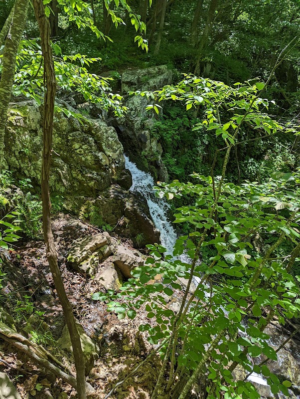 Discover the Serenity of Overall Run Falls outdoor detail