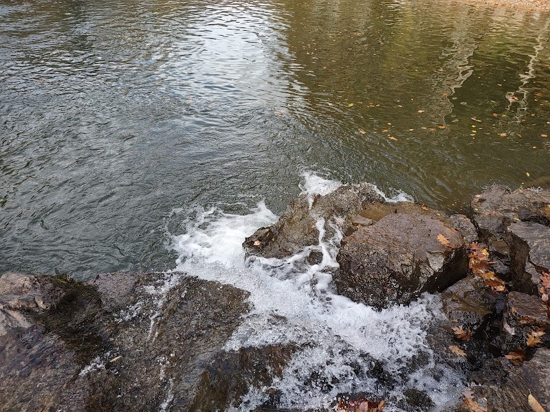 Whitaker Falls: A Hidden Colorado Gem outdoor detail